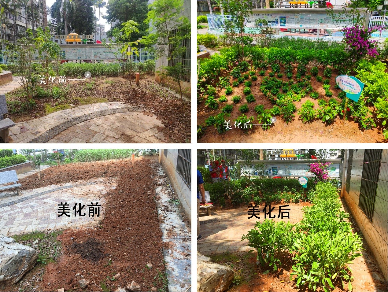 1562902502331641.jpg 4.jpg