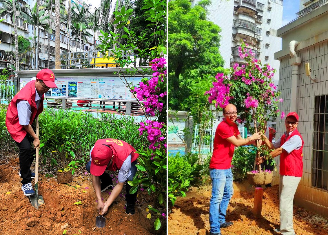 1562902427124897.jpg 2.jpg