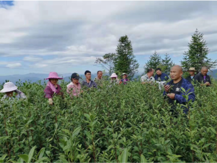 1571379214223849.png 微信图片_20191018141216.png