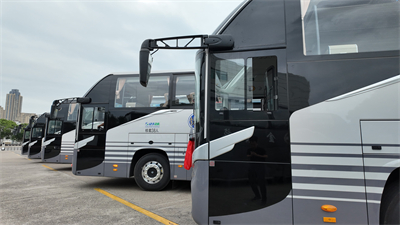 1719386336330875.jpg 6.jpg