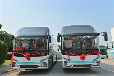 1718604916566154.jpg DSC_3462.jpg