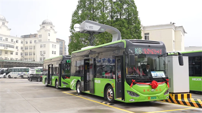 1718863961471800.png 10.png