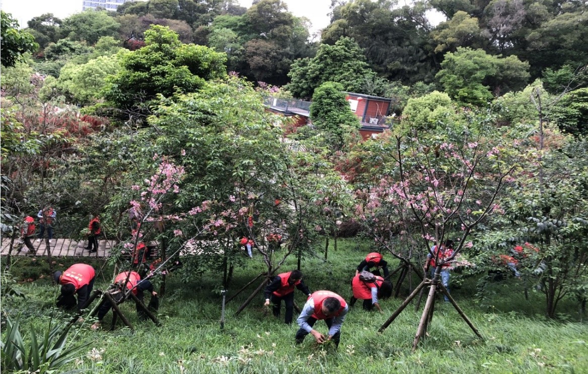 1555300128844129.jpg 1.jpg