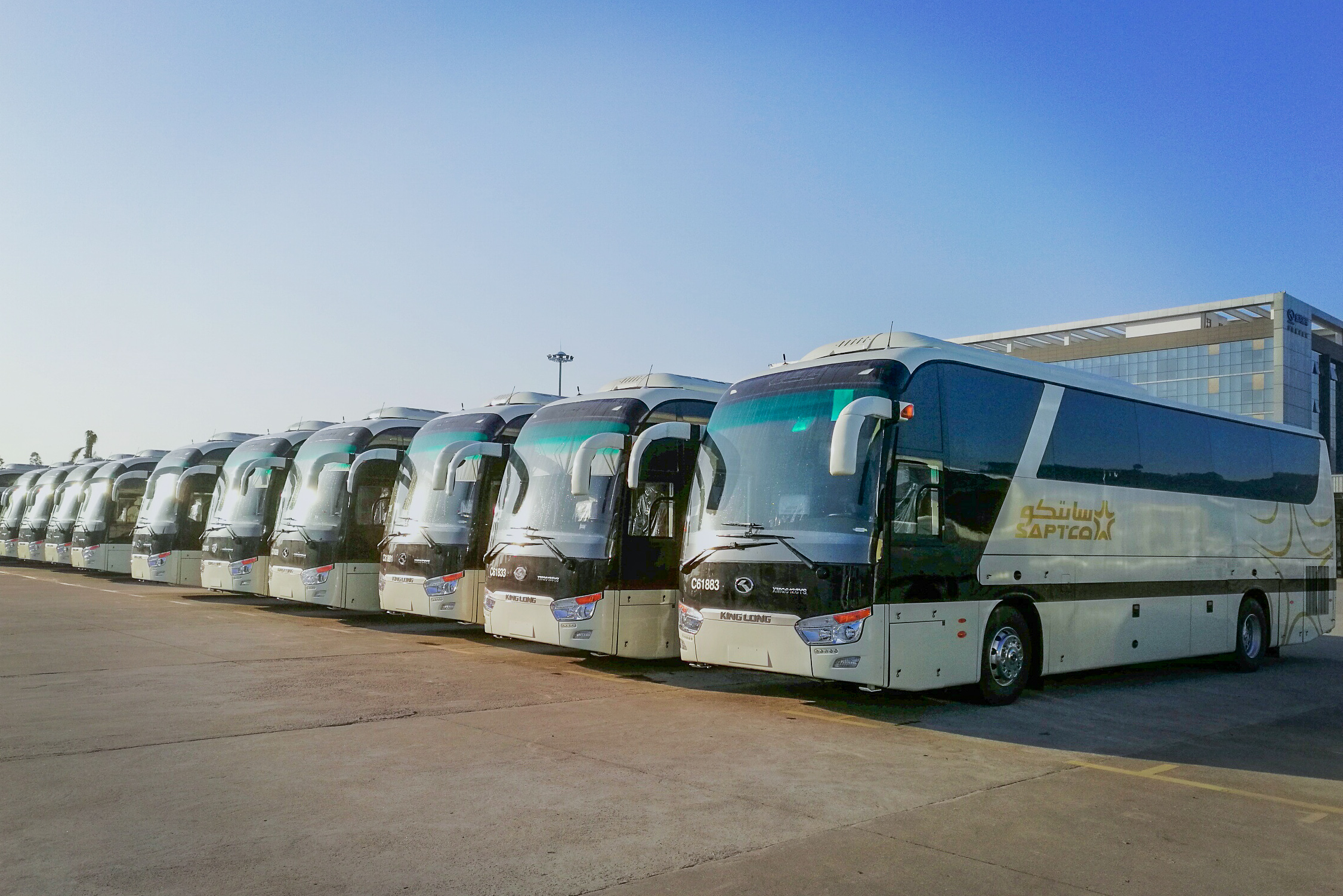 1487143678529395.jpg 金龙客车沙特1.jpg