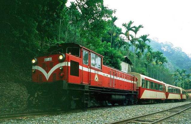 1509878357839227.jpg 说明: http://letsgo-alishan.com/image/106/alishan.jpg