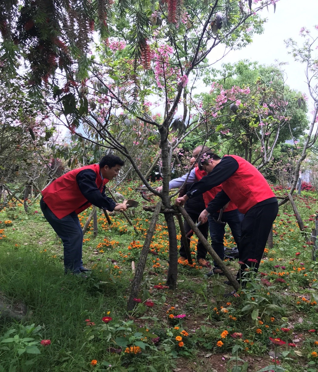 1559631465832474.jpg 2.jpg