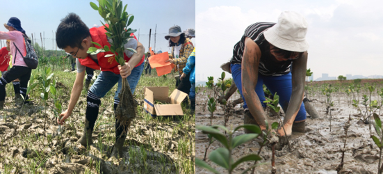 1558516412629038.png 3.png