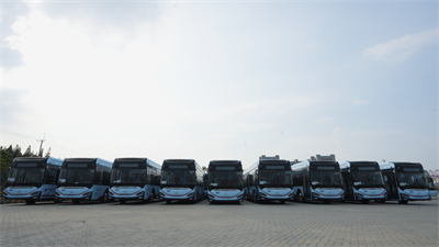 1724743158693207.jpg 15.jpg