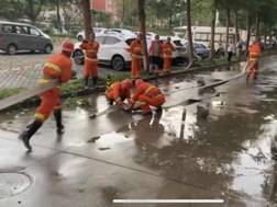 1603529035346022.jpg 12