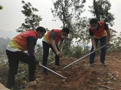 1585532901486877.jpg IMG_7117