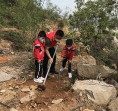 1585532987571469.jpg IMG_7129