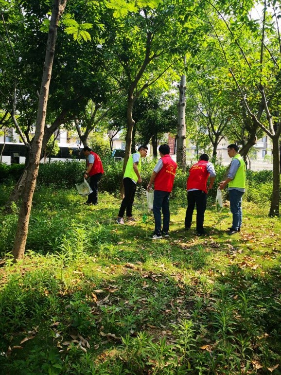 1557718981966460.jpg 4.jpg