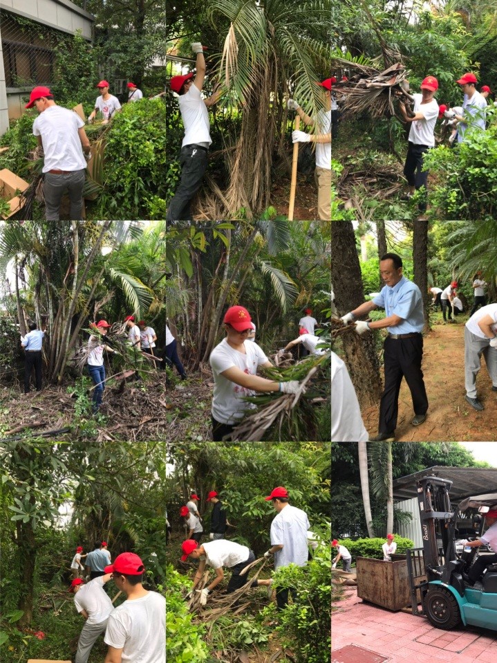 1556603188129408.jpg 1.jpg