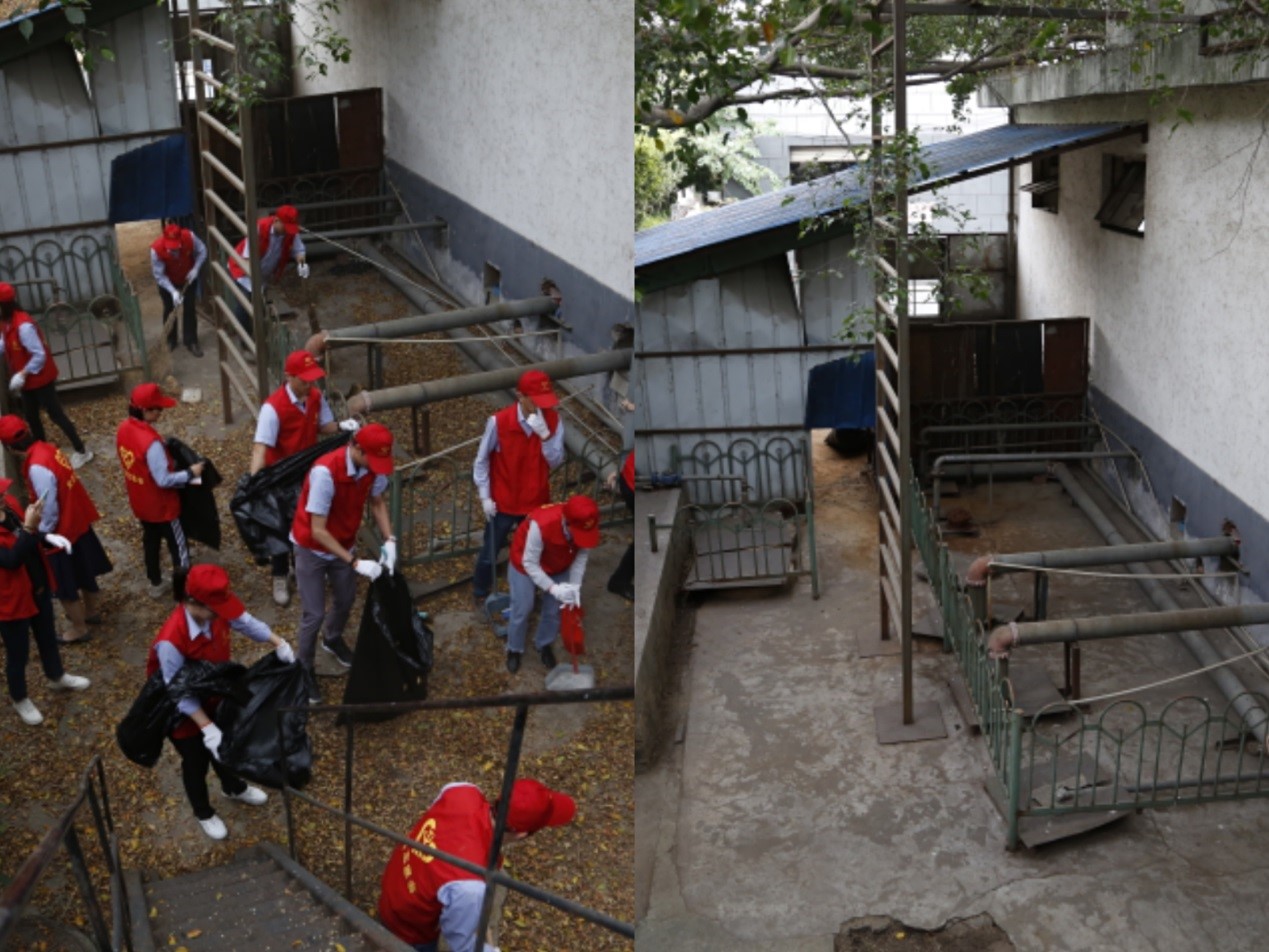 1574665256148881.jpg 2.jpg