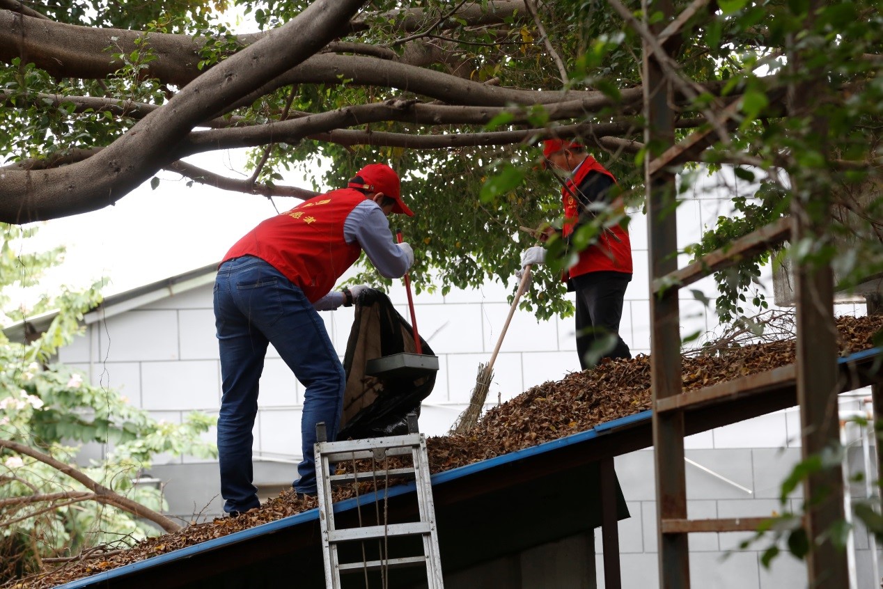 1574665218319002.jpg 1.jpg