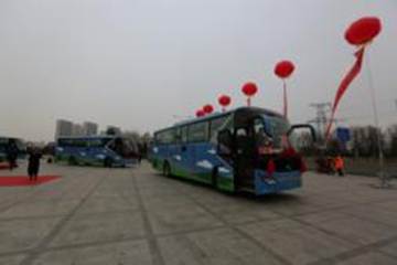 1516679543910423.jpg TYS_9048