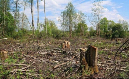 1682057177841675.jpg 1682057177841675.jpg