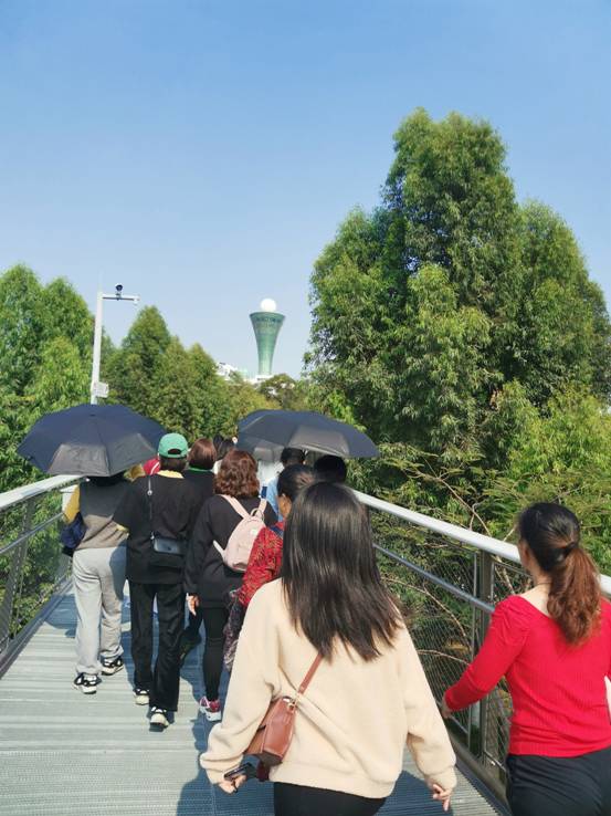 1615511611223582.jpg 1615511611223582.jpg