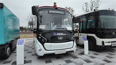 1729217200228615.jpg 5.jpg