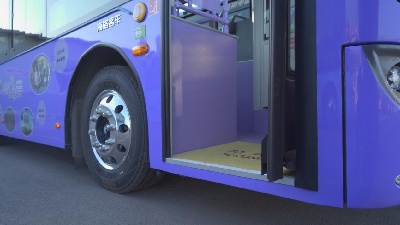 1735091900875808.jpg 7.jpg