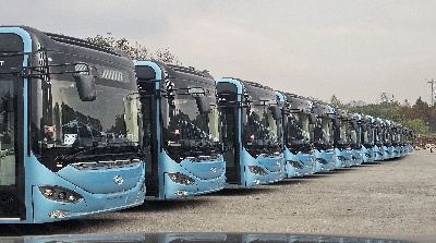 1735092206759545.jpg 重庆.jpg