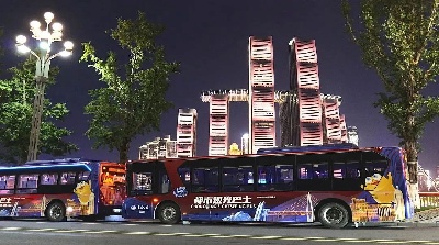 1735092223164484.jpg 重庆公交天花板.jpg