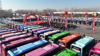 1735091863254414.jpg 5.jpg