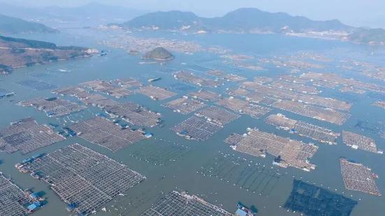 1630300816324071.jpg 1630300816324071.jpg