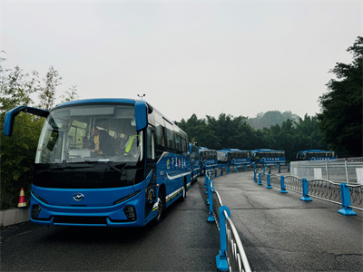 1733811919735323.jpg 4.jpg