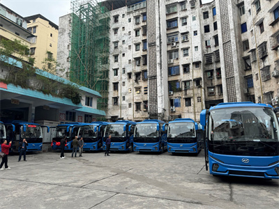 1733811899739728.jpg 1.jpg