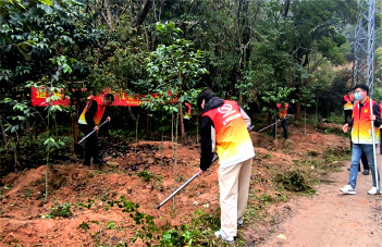 1711436421619833.png 8856efa0d825fb043246de6008786ba.png