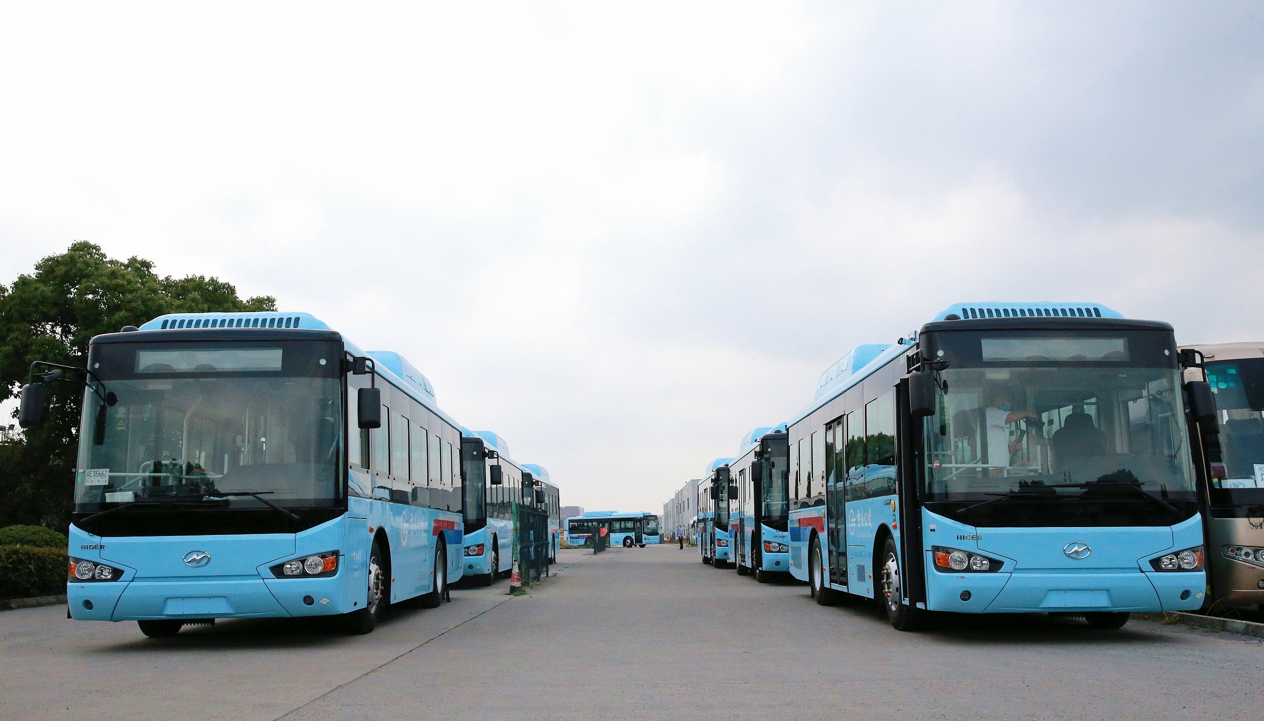 1590805648854881.jpg D14U3768_副本.jpg